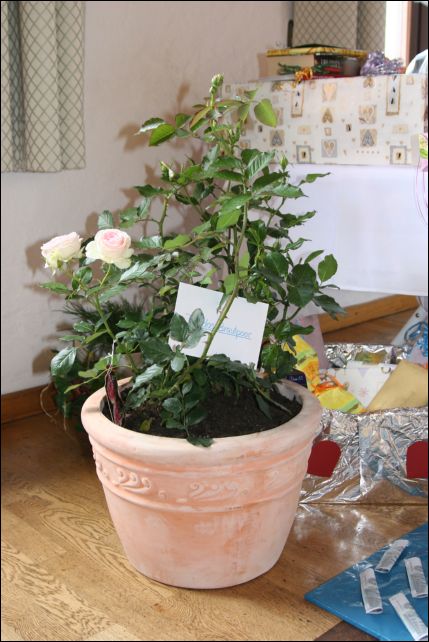 kathrin_und_roland 158